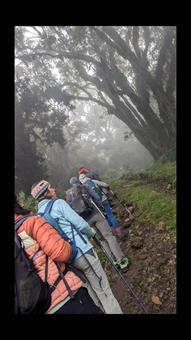 Mount Kilimanjaro trekking landscape